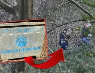 Belgrad Ormanında neler oluyor? 35 günde 3 ceset! Biri çıplak halde kravatla asılmış, diğeri yarıya kadar gömülmüş...