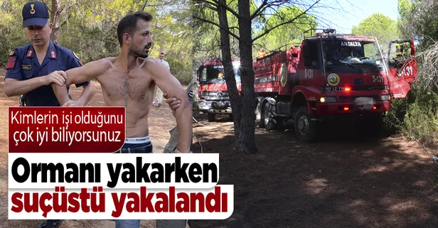 Son dakika: Manavgat'ta bir şahıs ormanı yakmaya çalışırken yakalandı