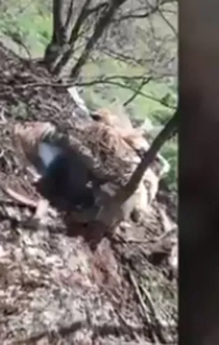 MSB duyurdu! PKK'ya ağır darbe! Çok sayıda silah ve mühimmat ele geçirildi!