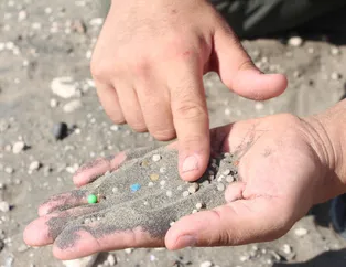 Bir avuç kumda 200 tane var! Tehlike saçıyor