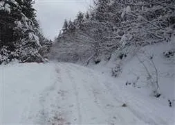 Kış şartları, hayvanları da olumsuz etkiliyor