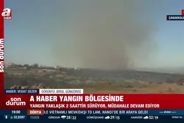 Ezine'de yangın!