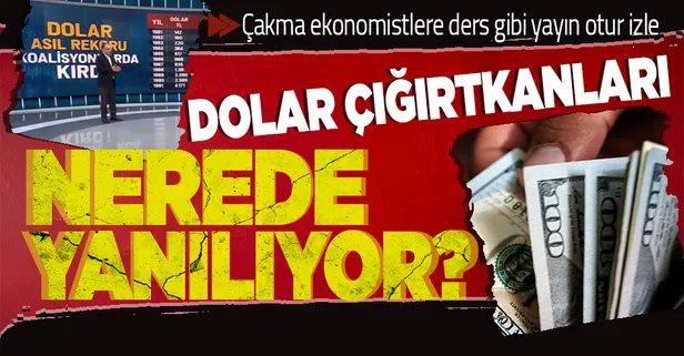 Ekonomiyi yalnızca döviz üzerinden okuyanlar nerede yanılıyor? Vatandaş yükselen dolar kuru hakkında ne düşünüyor?