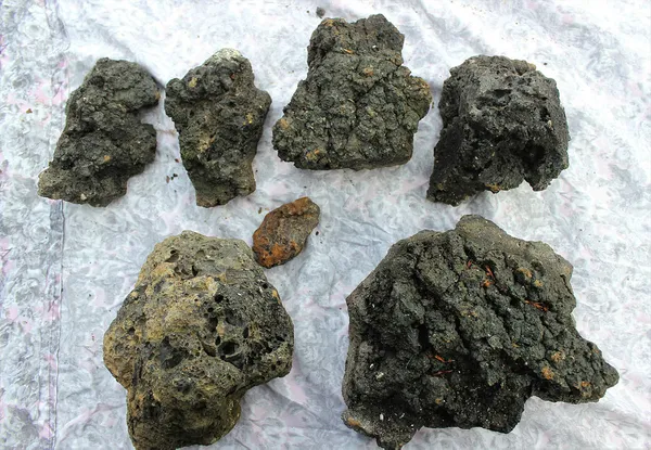 gokyuzunde-isik-gordu-olumden-dondu-basina-binlerce-dolar-degerinde-talih-kusu-kondu-1610791202117.jpg Gökyüzünde ışık gördü, ölümden döndü! Başına binlerce dolar değerinde talih kuşu kondu!-9