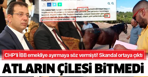CHP'li İBB’nin emekliye ayırmak üzere aldığı atları köy işlerine verdiği ortaya çıktı