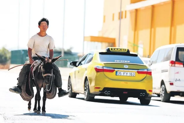 marmariste-yine-orman-yangini-cikti-yogun-ugraslarla-kontrol-altina-alindi-1659134560560.jpeg Marmaris'te yine orman yangını çıktı! Yoğun uğraşlarla kontrol altına alındı-6