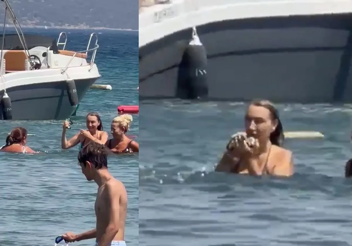 1787482495904.jpg Dilek İmamoğlu'nun Bodrum tatiline hakaretli savunma... Şaban Sevinç ağzını bozdu-2