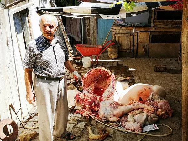 Kurbanı kesti şoke oldu! Malatya'da kesilen büyükbaş, tüberkülozlu çıktı-1