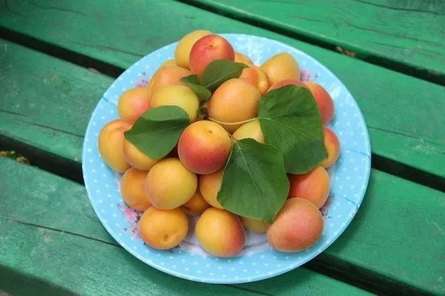 Kayısının faydaları nelerdir? - 7