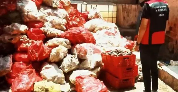 Adana’da mide bulandıran görüntüler! İşkembe ve paça yerken bir kez daha düşüneceksiniz