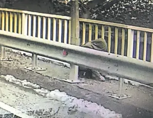 O kişi Gülistan mı?