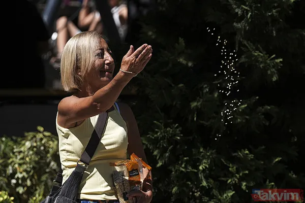 Karadeniz'in nemi İstanbul'da! Meteoroloji'den 4 günlük uyarı geldi: Poyraz sıcaklığı frenlese de serinlik getirmeyecek - 20
