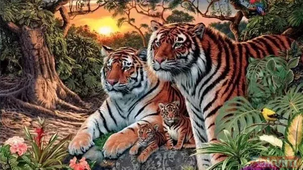 Bu fotoğraf bakanlara saç baş yoldurdu! Bir leopar var ama hadi bulun bulabilirseniz! Zor olduğuna eminiz arayanların yüzde 99'u vazgeçti - 9