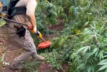 Diyarbakır’da uyuşturucuya darbe!