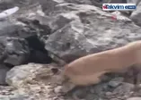 Terör örgütü PKK'ya ağır darbe