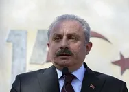 Son dakika: TBMM Başkanı Şentoptan TBMMnin açılışının 100. yılı mesajı