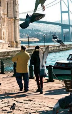 Bugün hava nasıl olacak? İşte cevabı