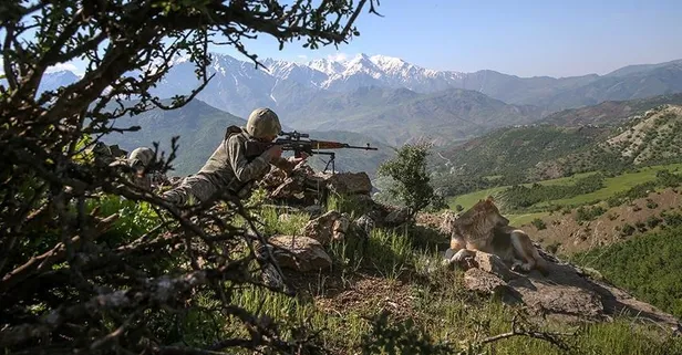 Terör örgütünden kaçan 2 PKK'lı ikna yoluyla teslim oldu: 2023'te teslim olanların sayısı 16'ya yükseldi