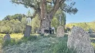 750 yıllık Karakavak’ın gölgesinde Türkler