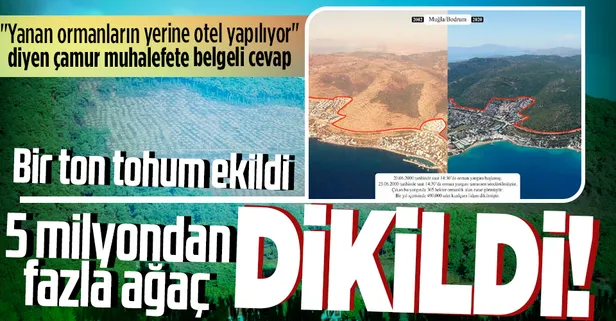 "Yanan ormanların yerine otel yapılıyor" yalanı bir kez daha çöktü! 5 milyondan fazla ağaç dikildi: Bir ton tohum ekildi
