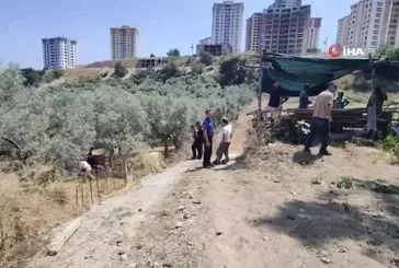 Kuşadası'nda traktör devrildi: 1 ölü!