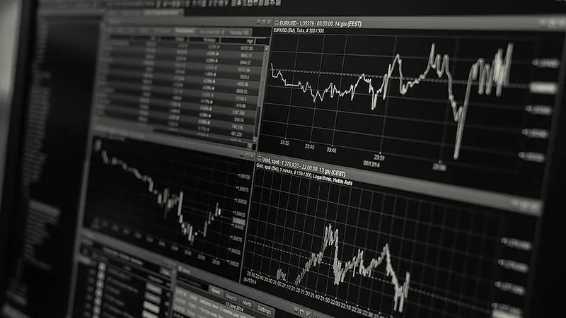 imfden-turkiye-degerlendirmesi-dezenflasyon-programi-basarilar-gosterdi-1771036609636.jpeg IMF'den Türkiye değerlendirmesi: Dezenflasyon programı başarılar gösterdi-6