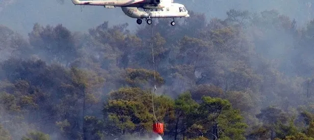 Milas'ta orman yangını