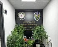 Antalya’da zehir tacirlerine geçit yok! 5 ilçede çok sayıda uyuşturucu madde ele geçirildi