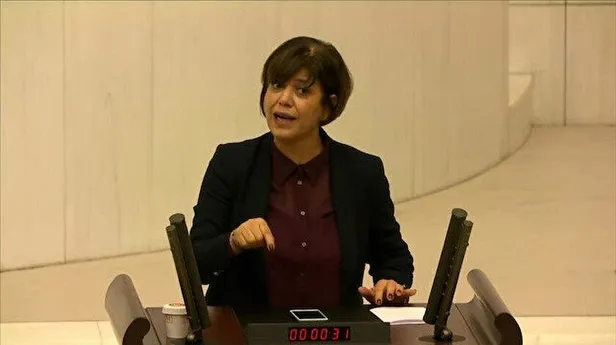 İşte CHP ve İP'in iş tuttuğu HDP bu! Bebek katili Öcalan barış getirecekmiş-2