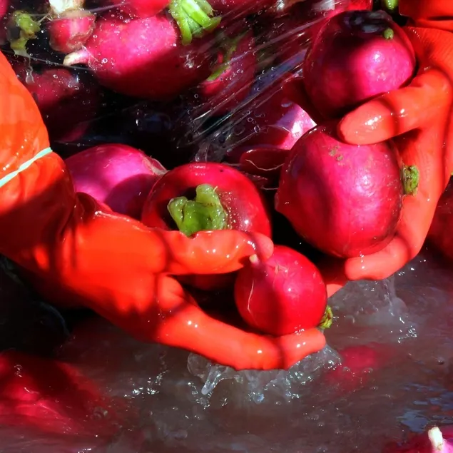 Kalbin yolu turptan geçer