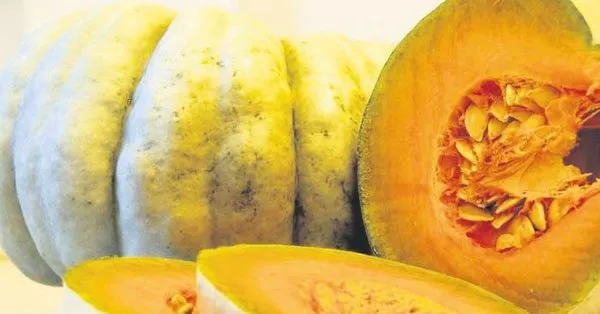 Akciger Kanserine Bal Kabagi Takvim
