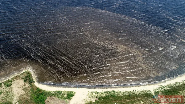 Balıkesir Bandırma sahillerinde müsilaj (deniz salyası) sonrası kirlilik nedeniyle deniz ve kum simsiyah oldu - 7