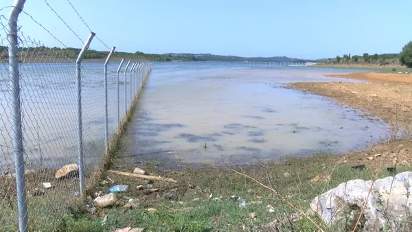 istanbuldaki-deniz-gol-ve-barajlarda-balik-ve-yengec-olumlerinin-nedeni-belli-oldu-kirlilik-oksijenin-azalmasi-1628238886350.jpg İstanbul'daki deniz göl ve barajlarda balık ve yengeç ölümlerinin nedeni belli oldu! Kirlilik-oksijenin azalması-3