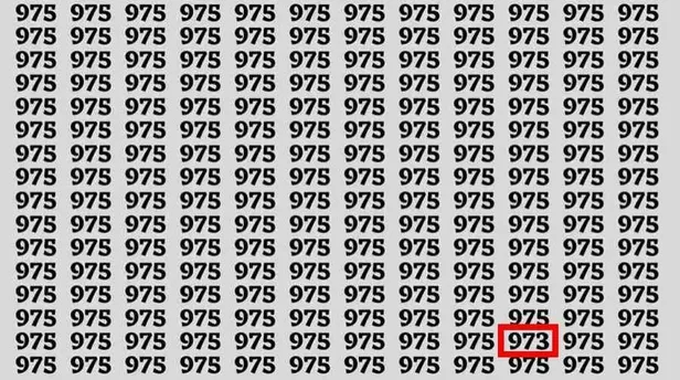 975lerin-arasindaki-973u-bulabilir-misin-yalnizca-kurt-gibi-iz-surenler-3-saniyede-buluyor-1696581921933.jpg 975 sayısının arasındaki 973'ü bulabilir misiniz? Yalnızca kurt gibi iz sürenler 3 saniyede buluyor!-5