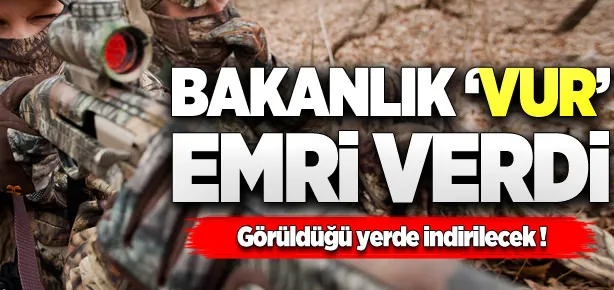 Bakanlık o ayı için ’vur’ emri çıkarttı