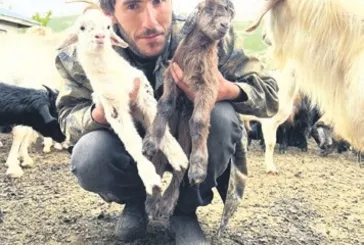 Destekler çok önemli