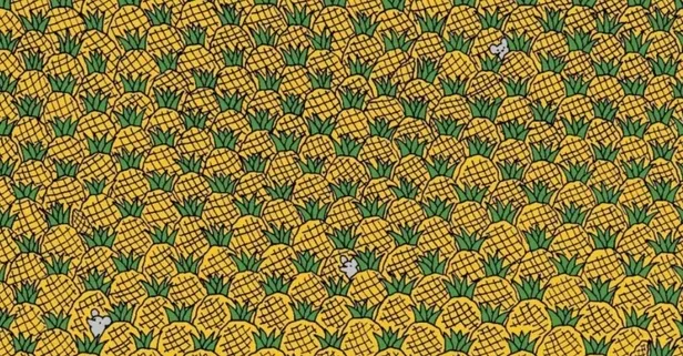 Ananasların arasındaki 4 mısırı 11 saniyede fark eden neredeyse yok! Dikkat isteyen optik illüzyon testi...