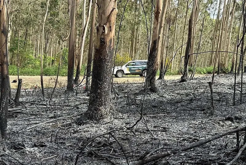 Yangınlar için av yasağı geliyor