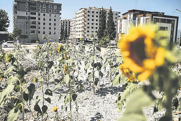 Gözlerimiz yeşerdi