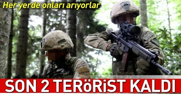 Son 2 terörist kaldı... Her yerde onları arıyorlar