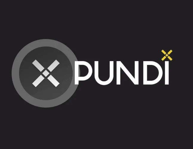 Pundix nedir? Pundi X NPXS coin nasıl ve nereden alınır?