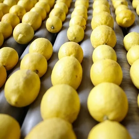 Hazımsızlığa limon sıkın