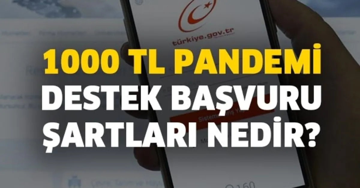 turkiye gov tr basvurusu ve e devlet sifresi alma nasil yapilir 1000 tl pandemi destek basvuru alma sartlari nedir takvim