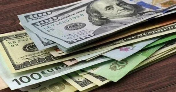 dolar-kurunda-son-durum-dolar-ne-kadar-oldu-18-ocak-1-dolar-kac-tl-dolar-duser-mi-yukselir-mi-bugun-dolar-alin-1642482786408.jpg Dolar fiyatı ne kadar? 24 Ocak Dolar fiyatı bugün kaç TL? Dolar, Euro, Sterlin fiyatları alış satış kaç liradan alıcı buluyor?-2
