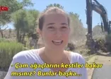 CHP'li belediyeden İzmir Karaburun'da çevre katliamı! Genç kız çam ağaçlarının iş makineleriyle sökülmesini gözyaşları içinde izledi