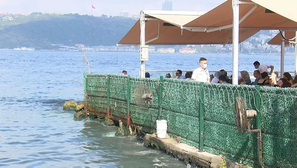 1630413167259.jpg Çengelköy'de isyan ettiren koku! Vantilatörü gören "pes" dedi-2