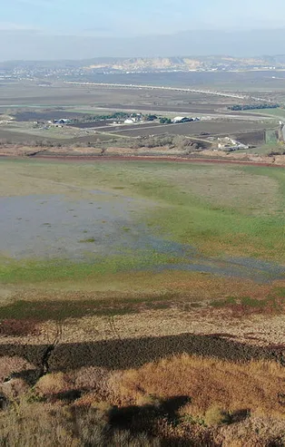 Daha önce hiç bu kadar olmamıştı! İstanbul "kırmızı alarm" veriyor