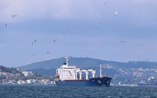 Dünya İstanbul'dan gelecek habere kilitlendi! Tahıl taşıyan Razoni gemisi İstanbul Boğazı'ndan geçti-7