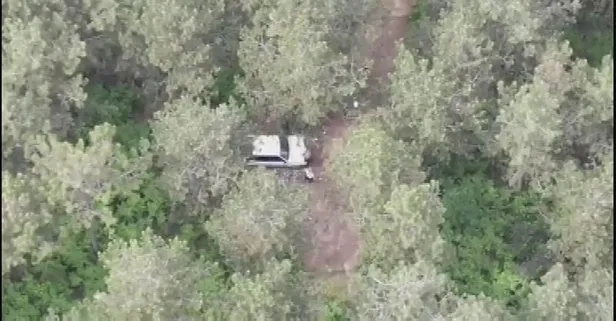 Ormanda piknik yaparken drone ile yakalandılar!