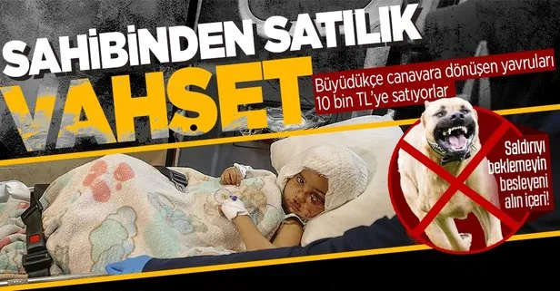 5oyf3c0wjyoigm 5oyf3c0wjyoigm